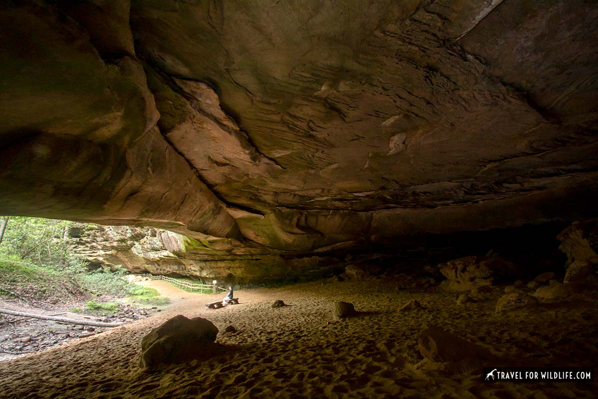 inside Hazard Cave