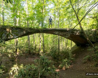 natural bridge in Pickett state park tn
