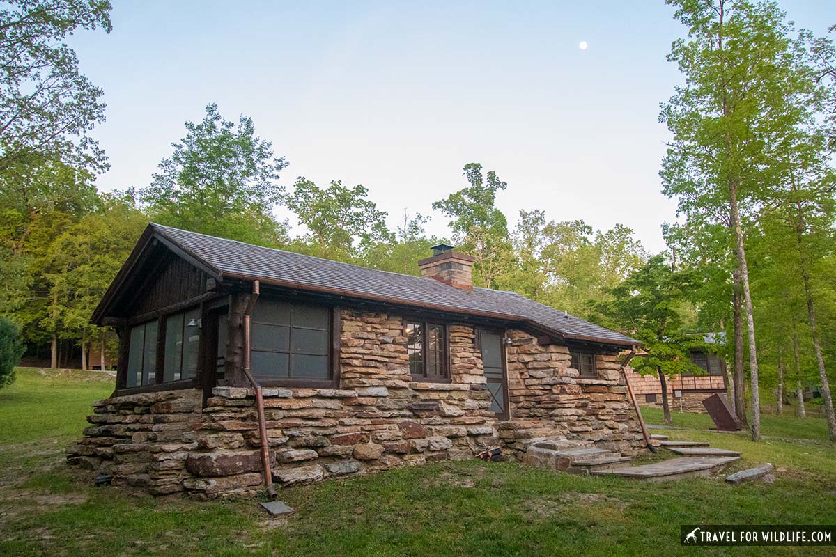 Pickett state park cabins