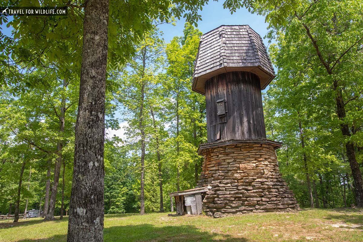 Pickett state park camping