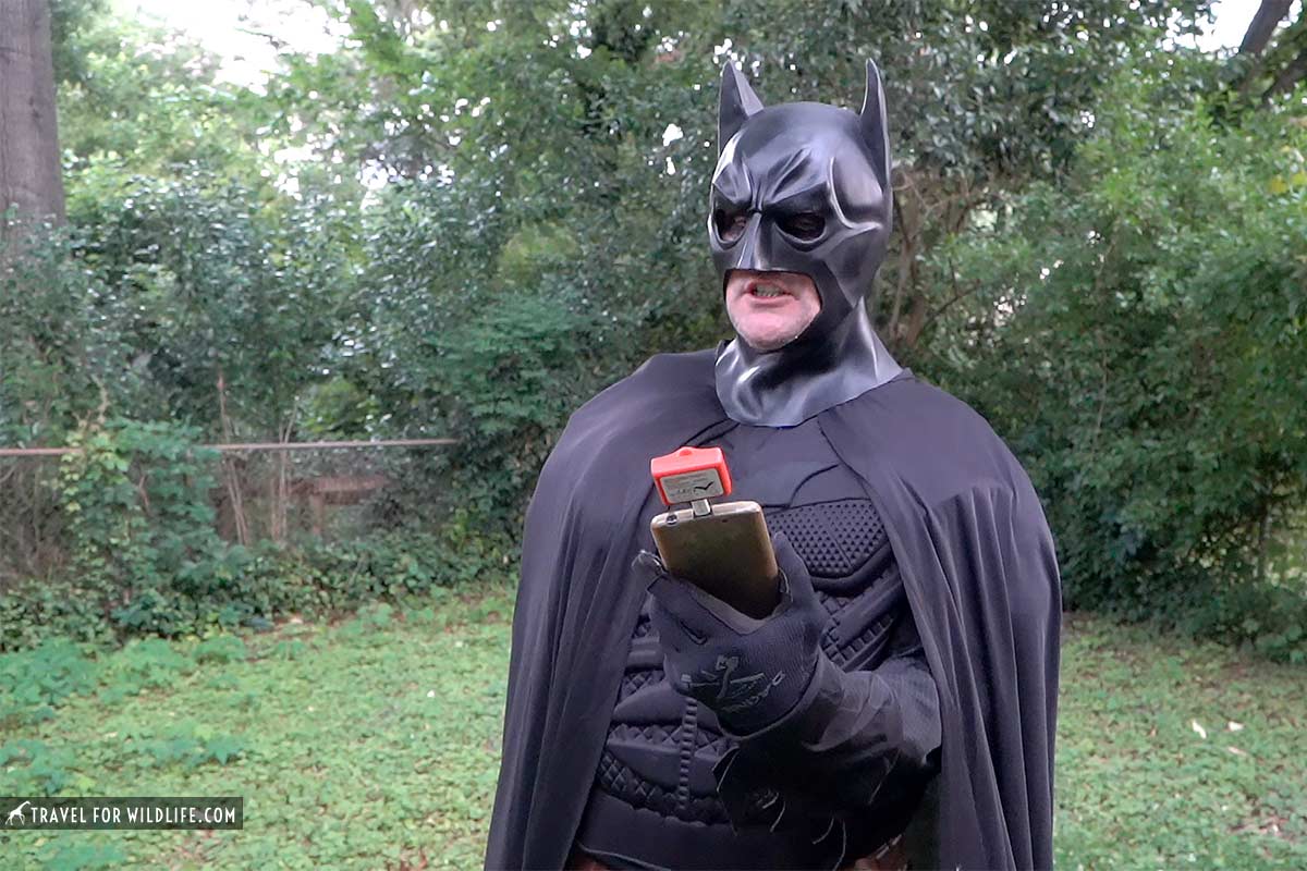 batman with bat detector