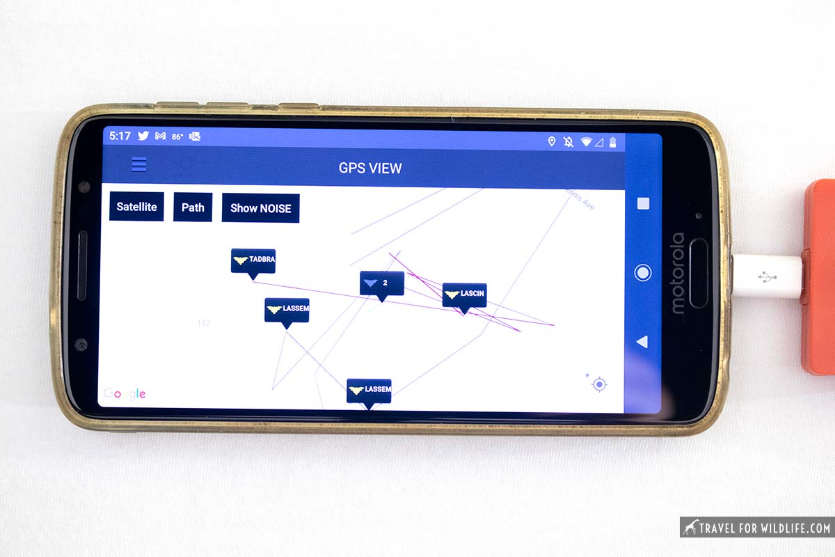 gps view of bat recordings