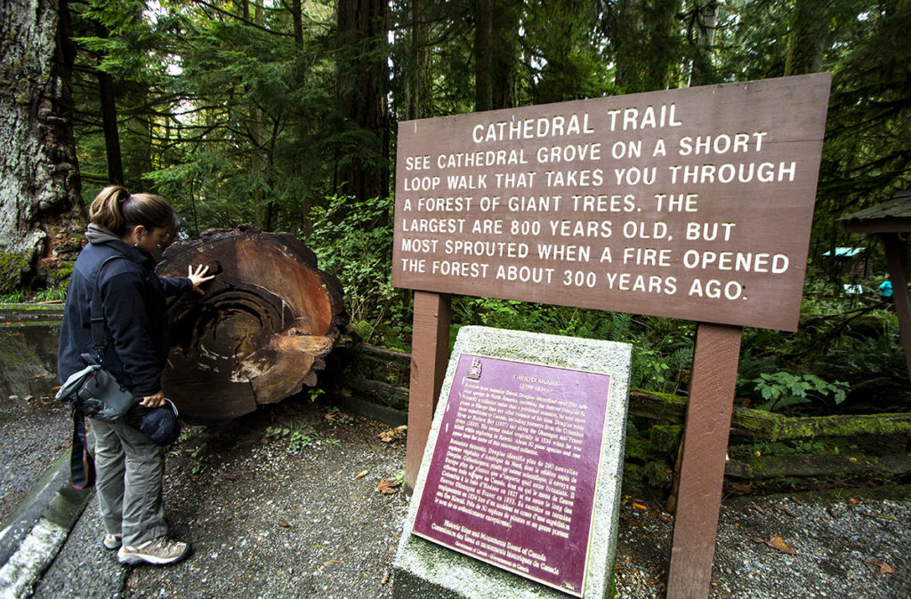 Cathedral trail trailhead