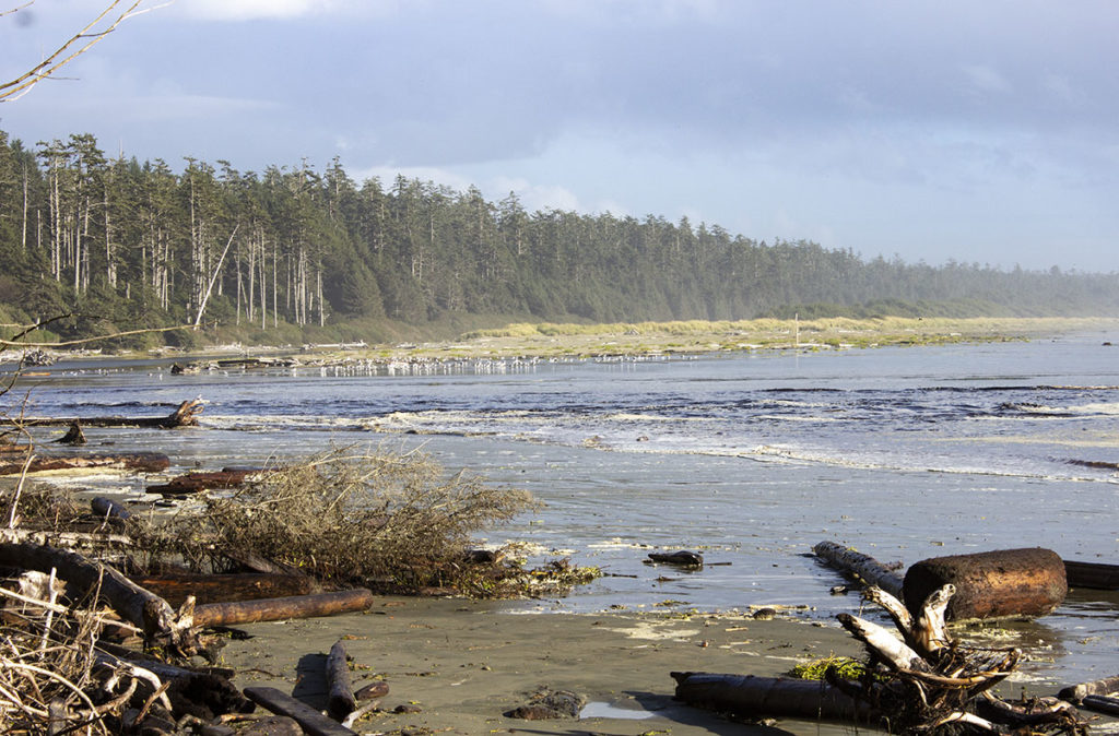 Beach on Vancouver Island