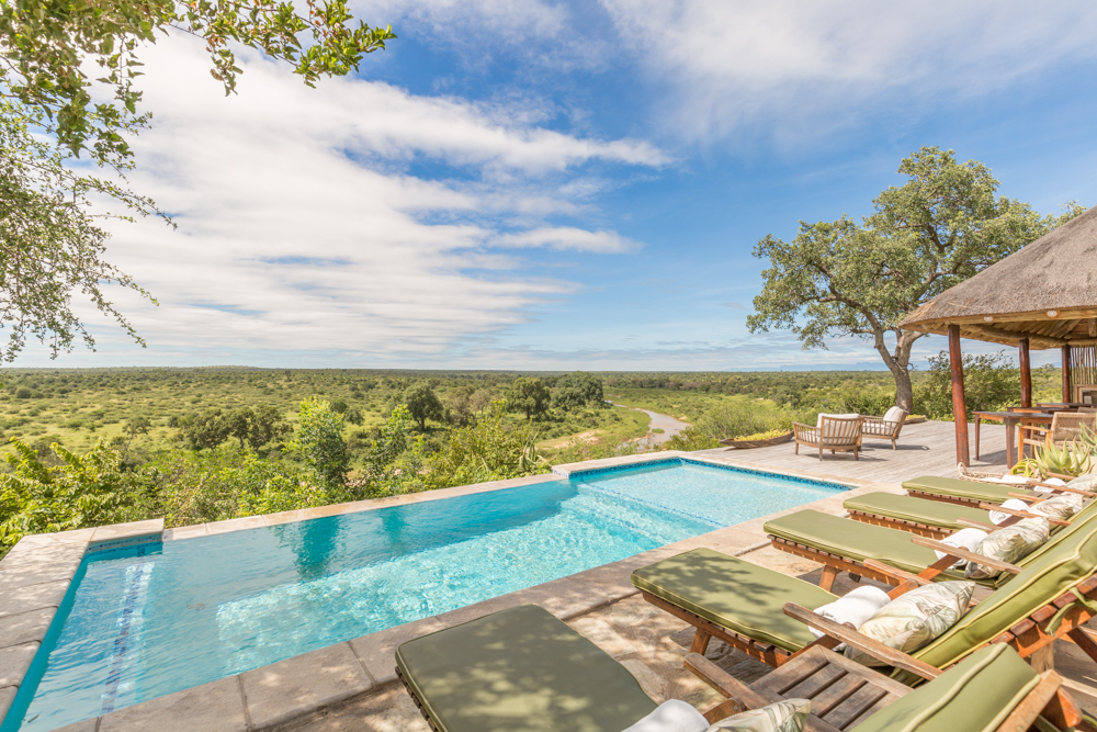 Swimming pool overlooking savannah