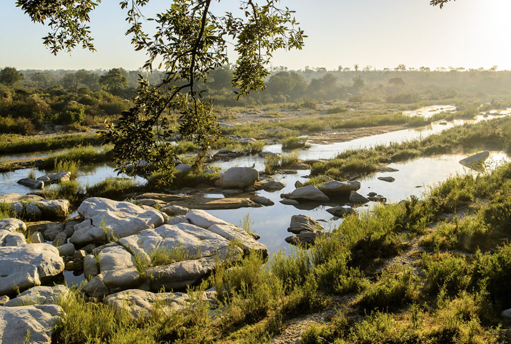 Sand river at sunset