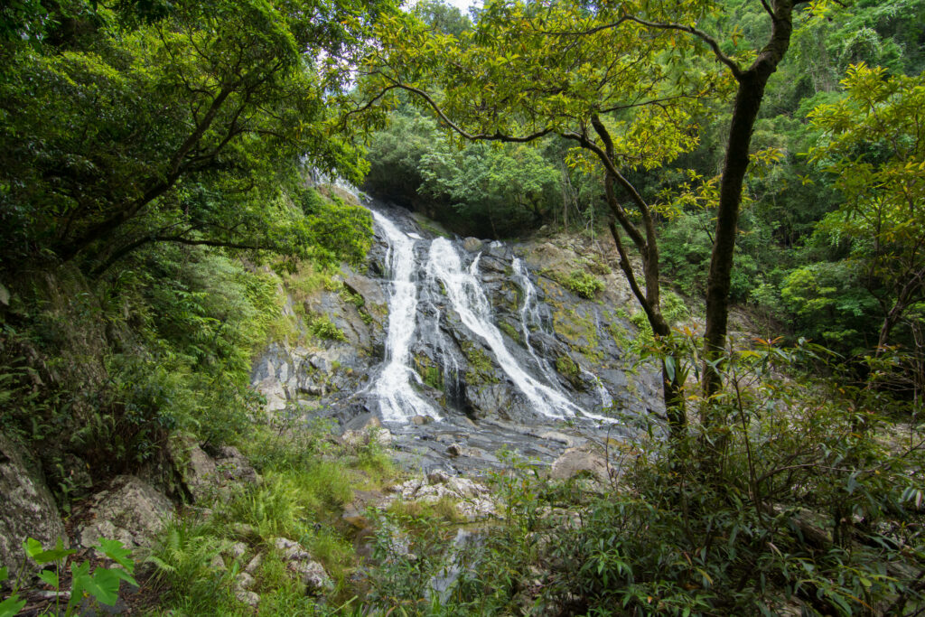 Waterfall in spring