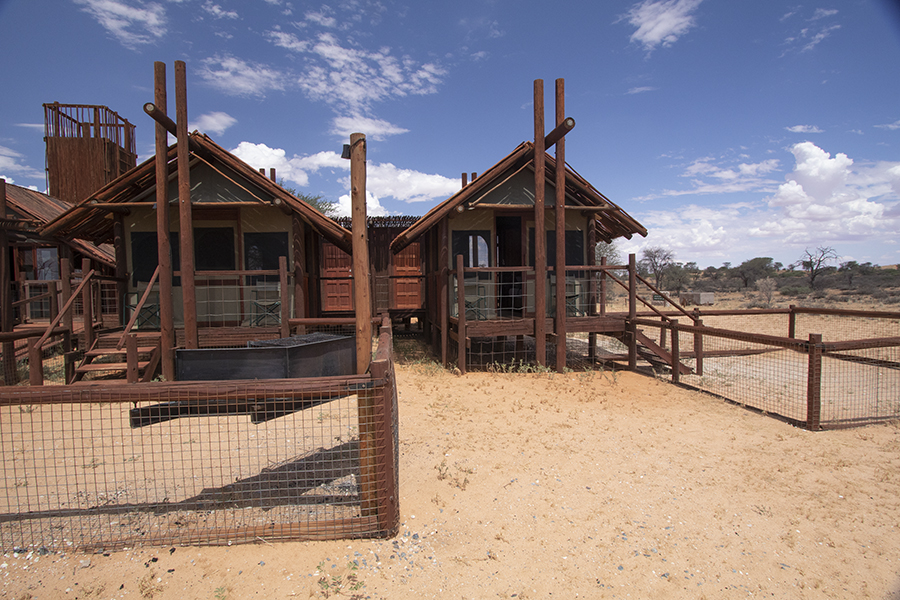 wooden cabins on stilts