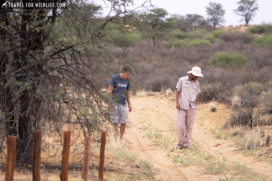 two people walking on a sandy road