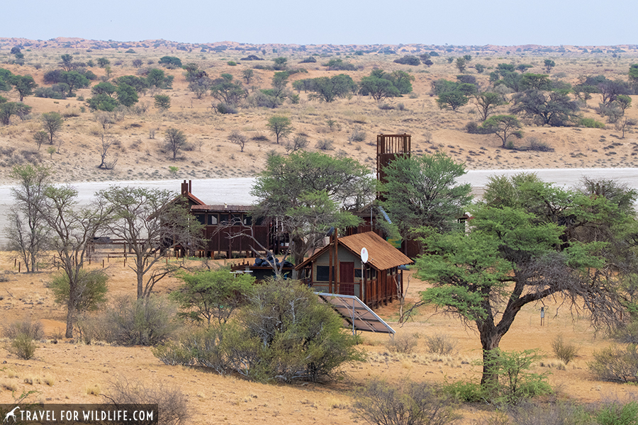 Bitterpan camp view from tower