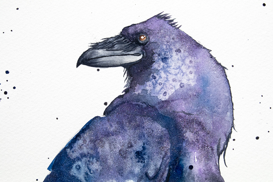 crow watercolor painting