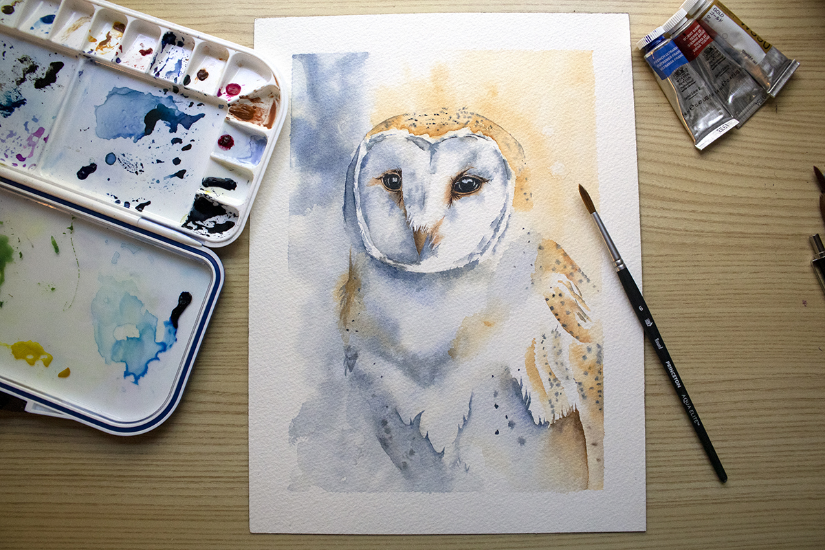 How to Paint Birds in Watercolor (tips from a beginner)