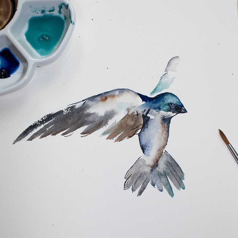 watercolor bird 