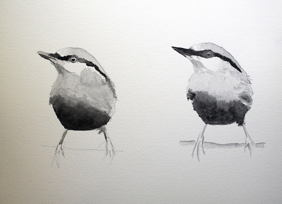 two birds in watercolor