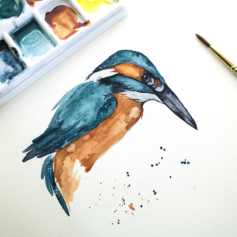 kingfisher watercolor painting
