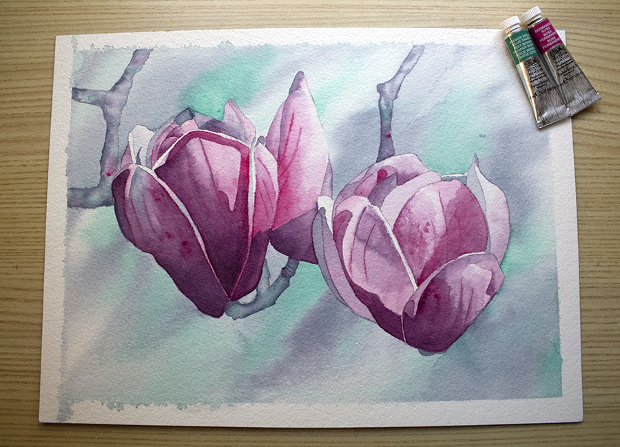 magnolia flowers watercolor painting