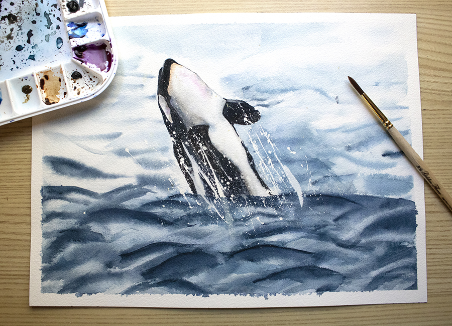 orca watercolor painting
