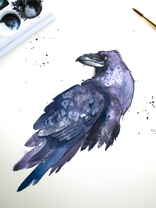 watercolor raven