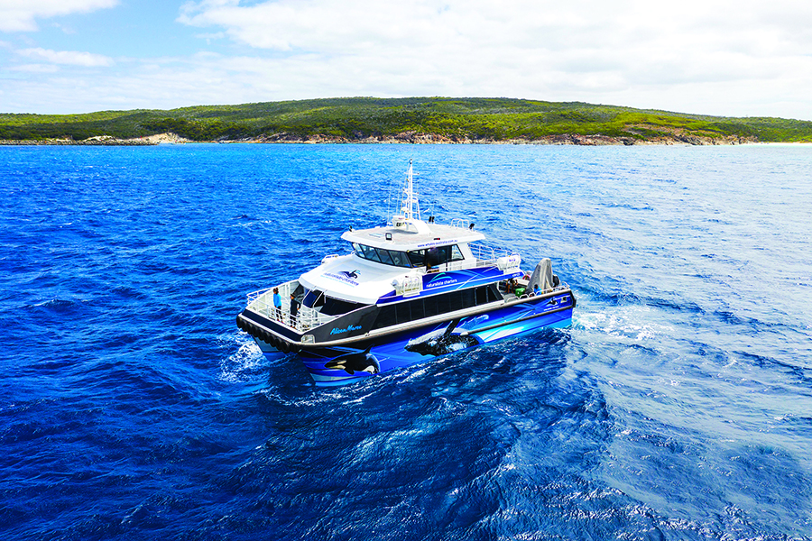 whale watching boat near shore