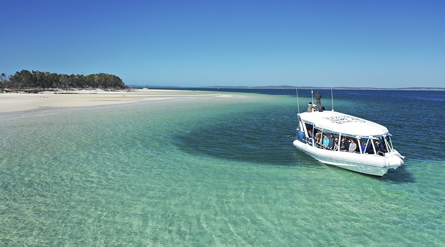 whale-watching boat on clear water