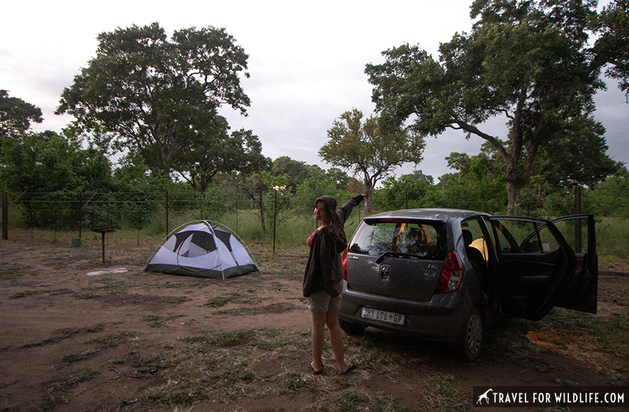 campsite spot with car and tent pitched