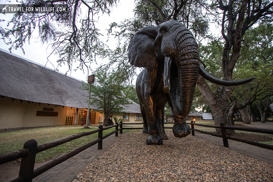 elephant statue at Elephant hall