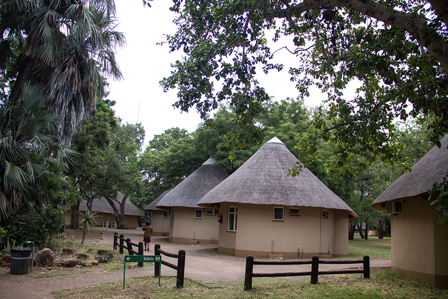 bungalow with thatched roof