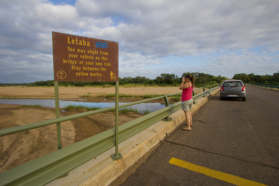 woman on bridge looking at river