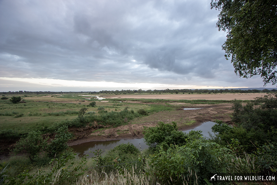 sandy river bank