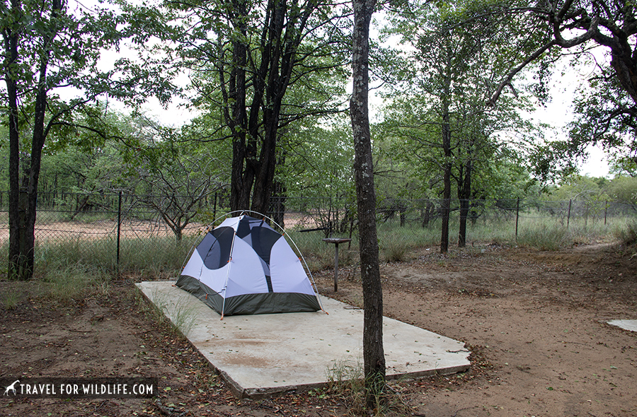 Tent on a camping site with trees