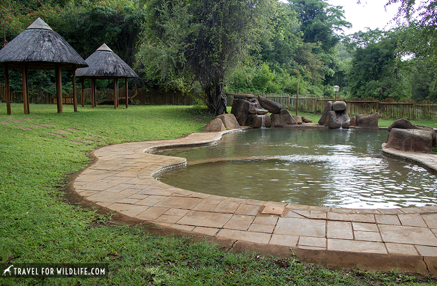 swimming pool with trees and grass