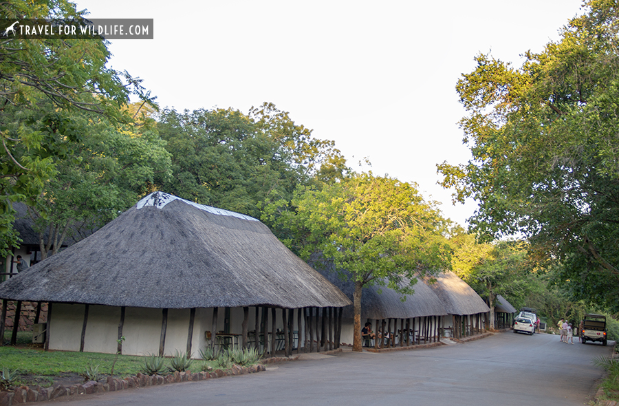 chalets with thatched roofs and green trees