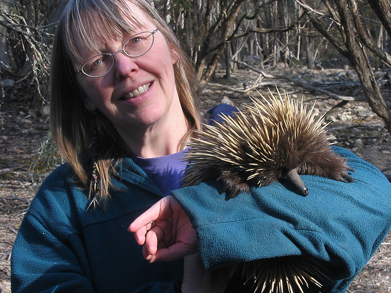 scientist with echidna