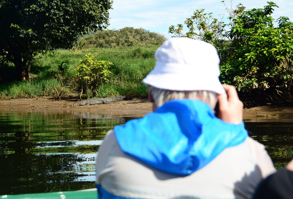 saltwater crocodile and photographer on a boat