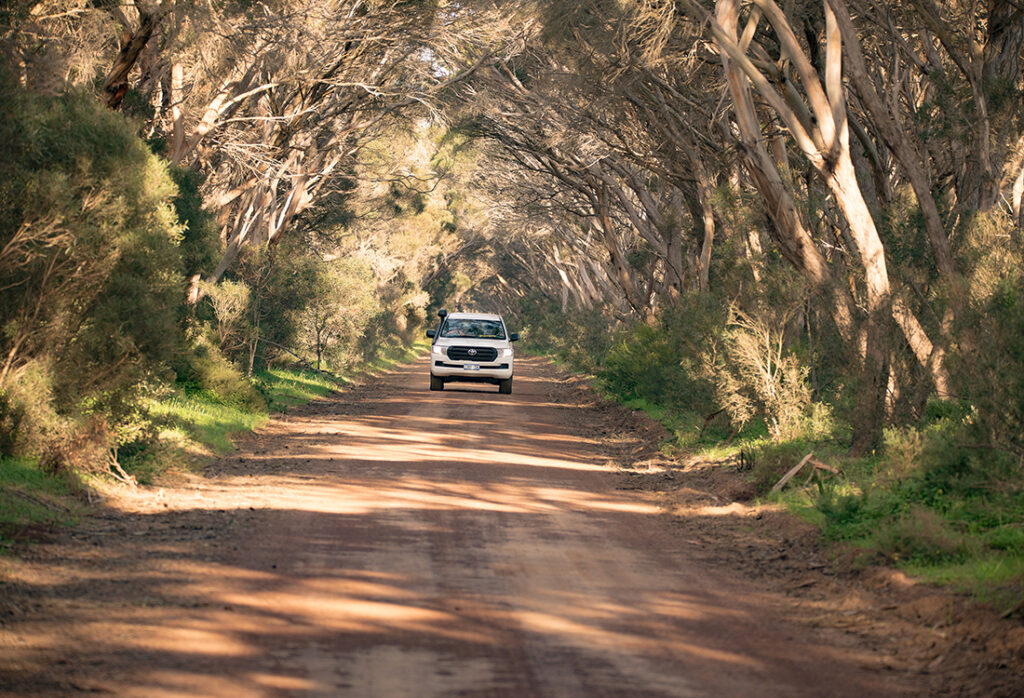 car on a dirt road