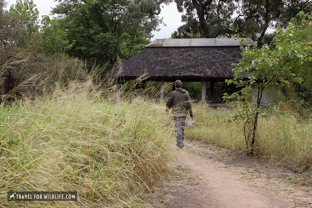 person on a trail with long grass