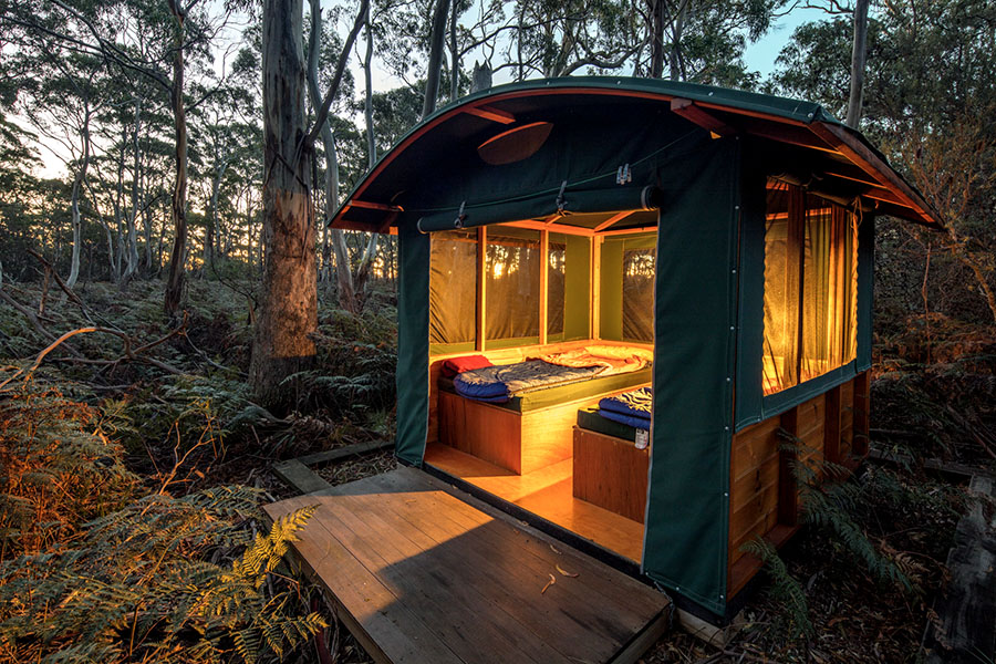 small cabin in the woods in Maria Island