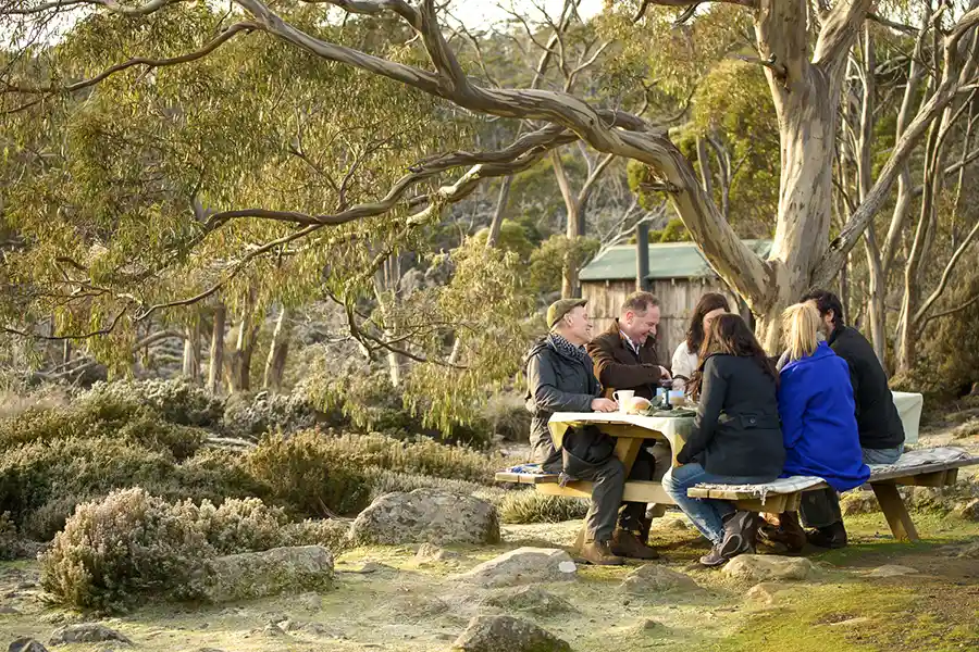 three people having a picnic on a picnic table under a mossy tree