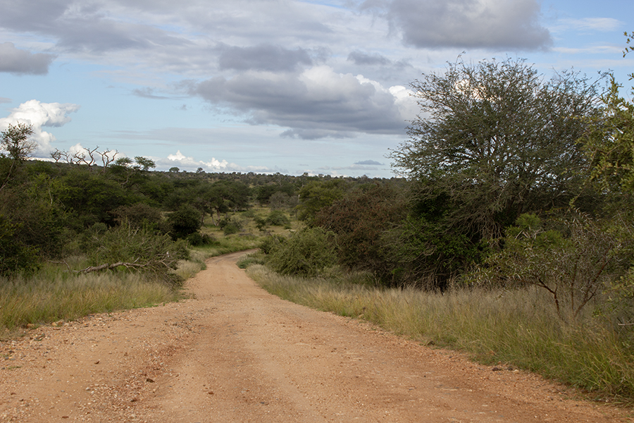 dirt road in Kruger