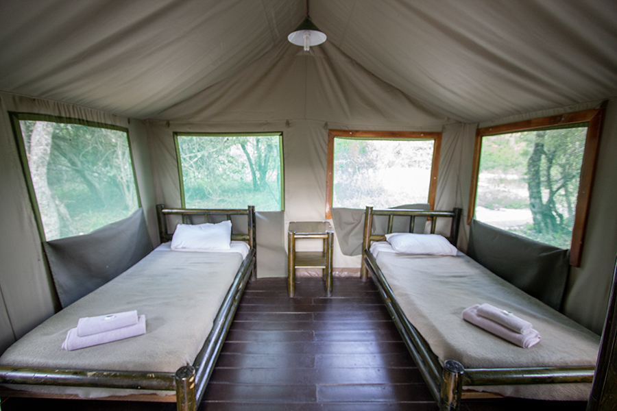 canvas tent with two beds inside