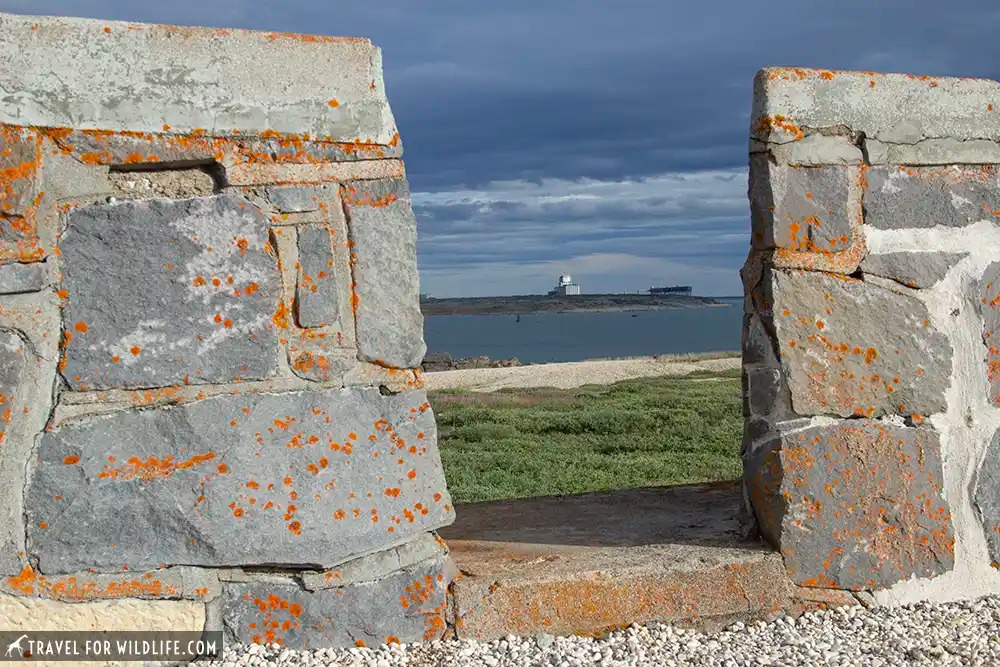 view of Churchill from Prince of Wales fort