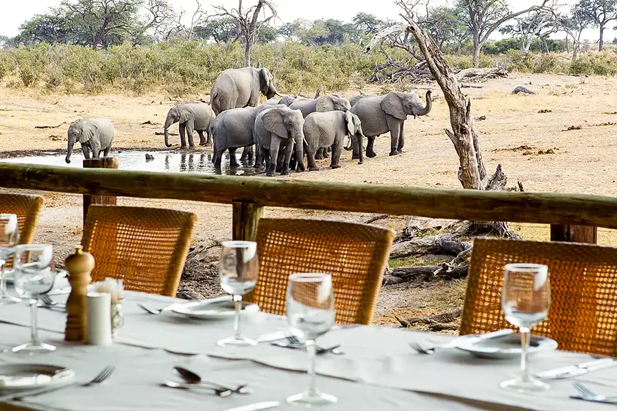 table set for safari lunch with elephants on the background