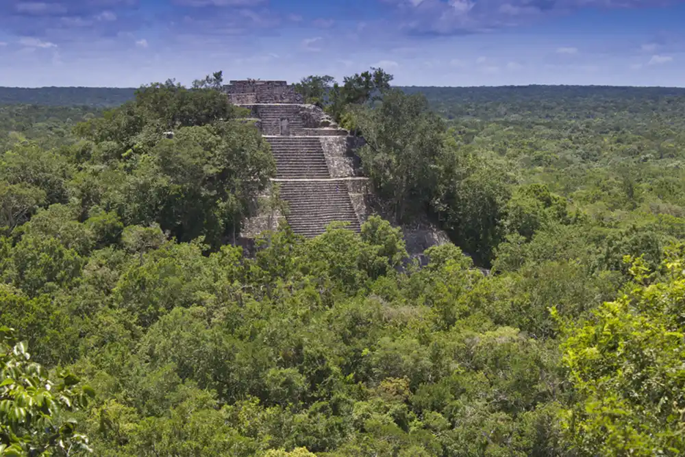 Calakmul Biosphere Reserve, Mexico