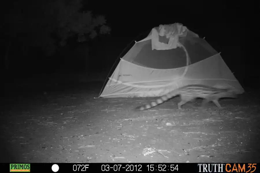 camping in Kruger National Park