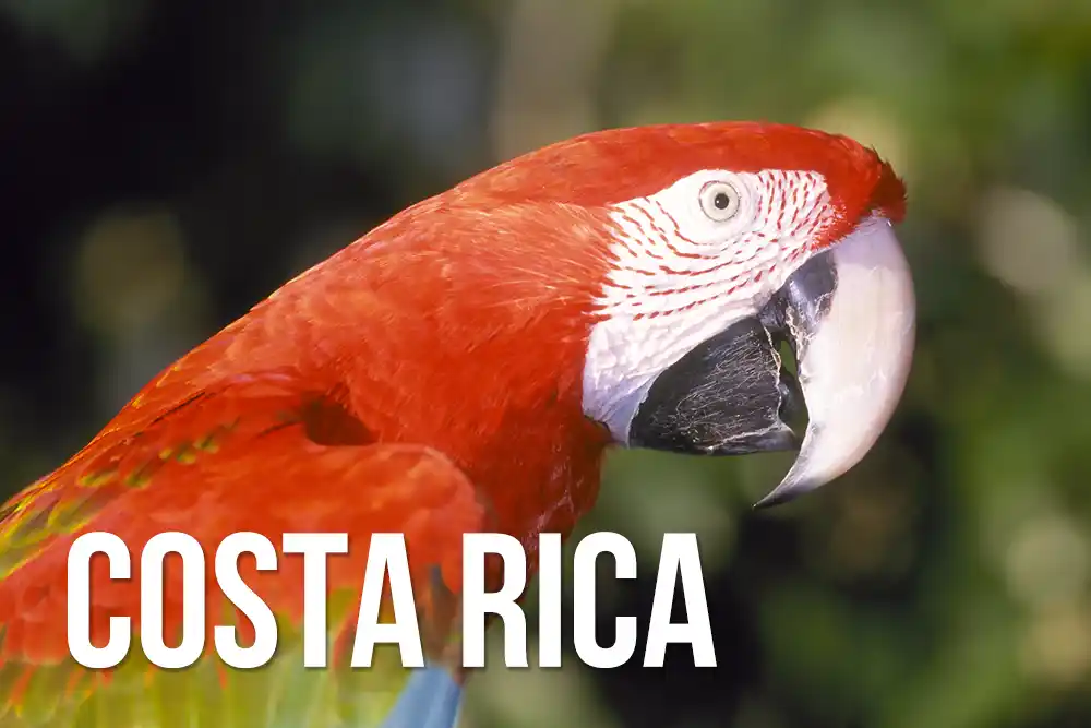 Costa Rica wildlife