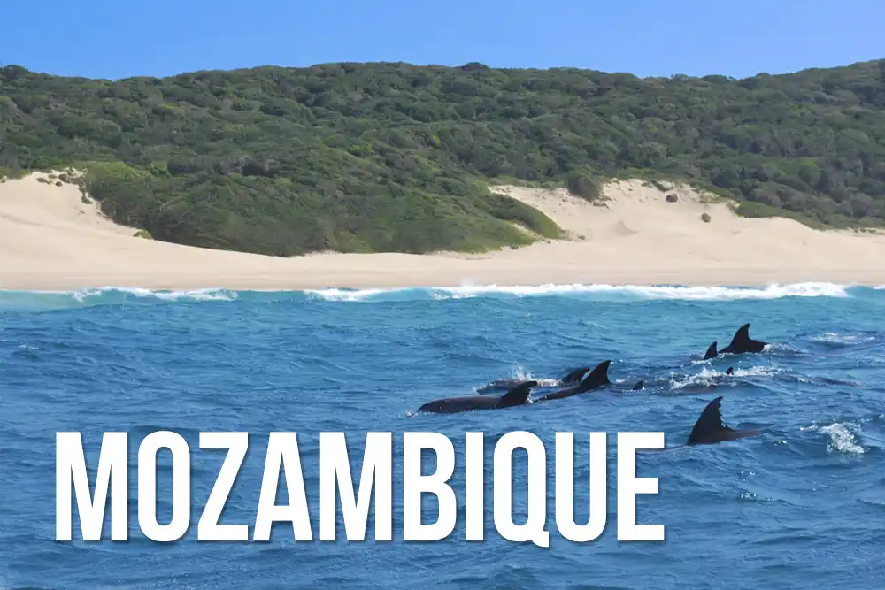 Mozambique wildlife