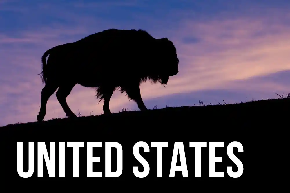United States wildlife