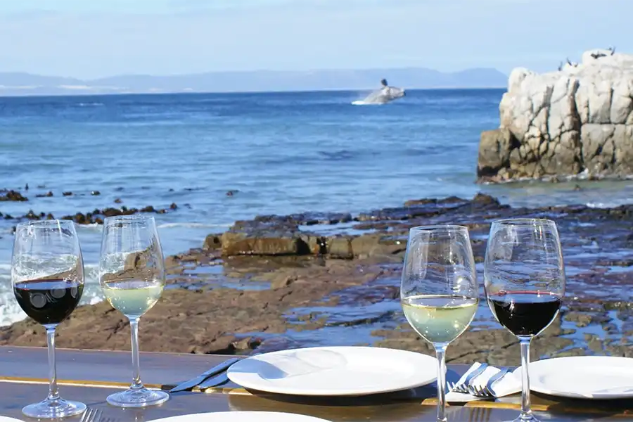 restaurant table by the ocean with a whale breaching at the back