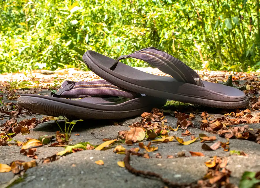 safari hiking shoes