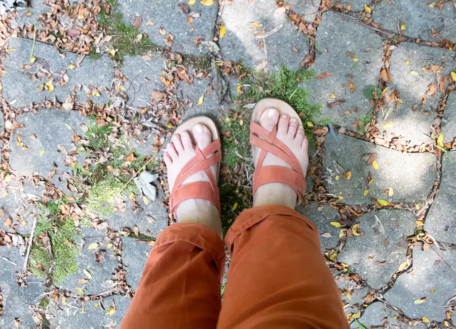 office safari sandals